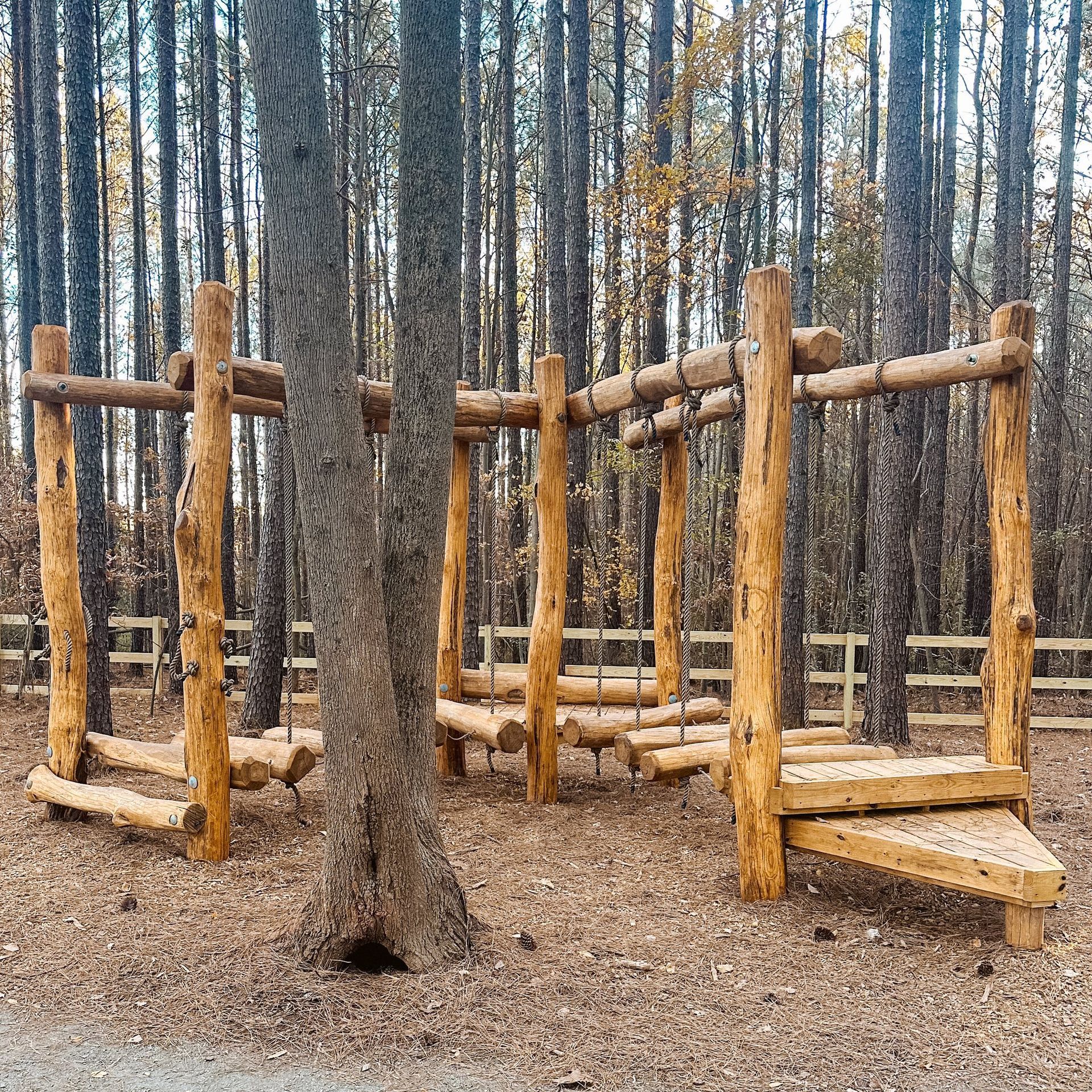 Wooden playground structure in a forest with balance beams and logs.