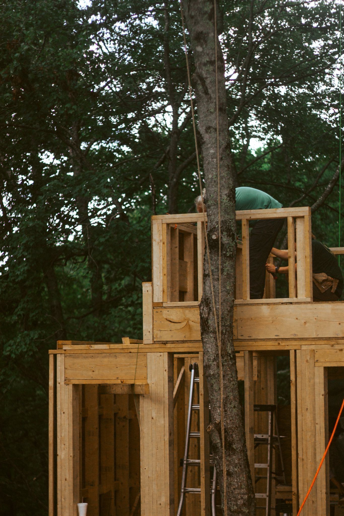 Treehouse under construction. Person in green shirt works on the upper level with lumber frame. A tall tree runs through the structure.