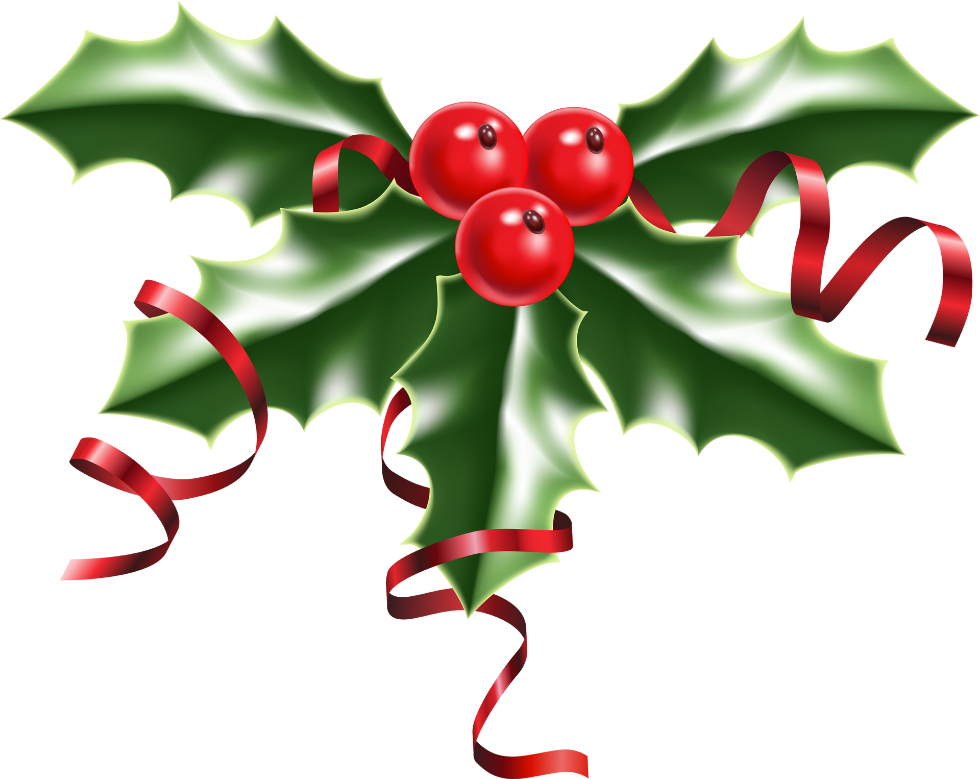 Holly
