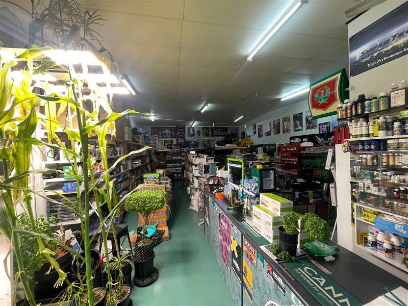 A Store Filled With Lots of Potted Plants and a Counter — Cairns Hydroponics In Bungalow, QLD