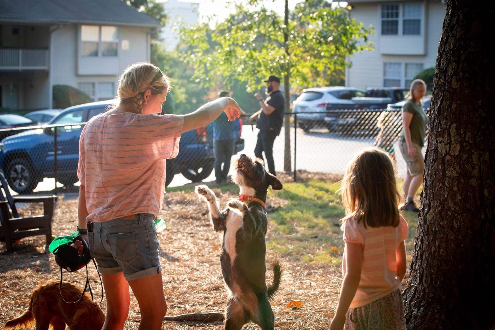 A woman is playing with a dog in a park while a little girl watches.