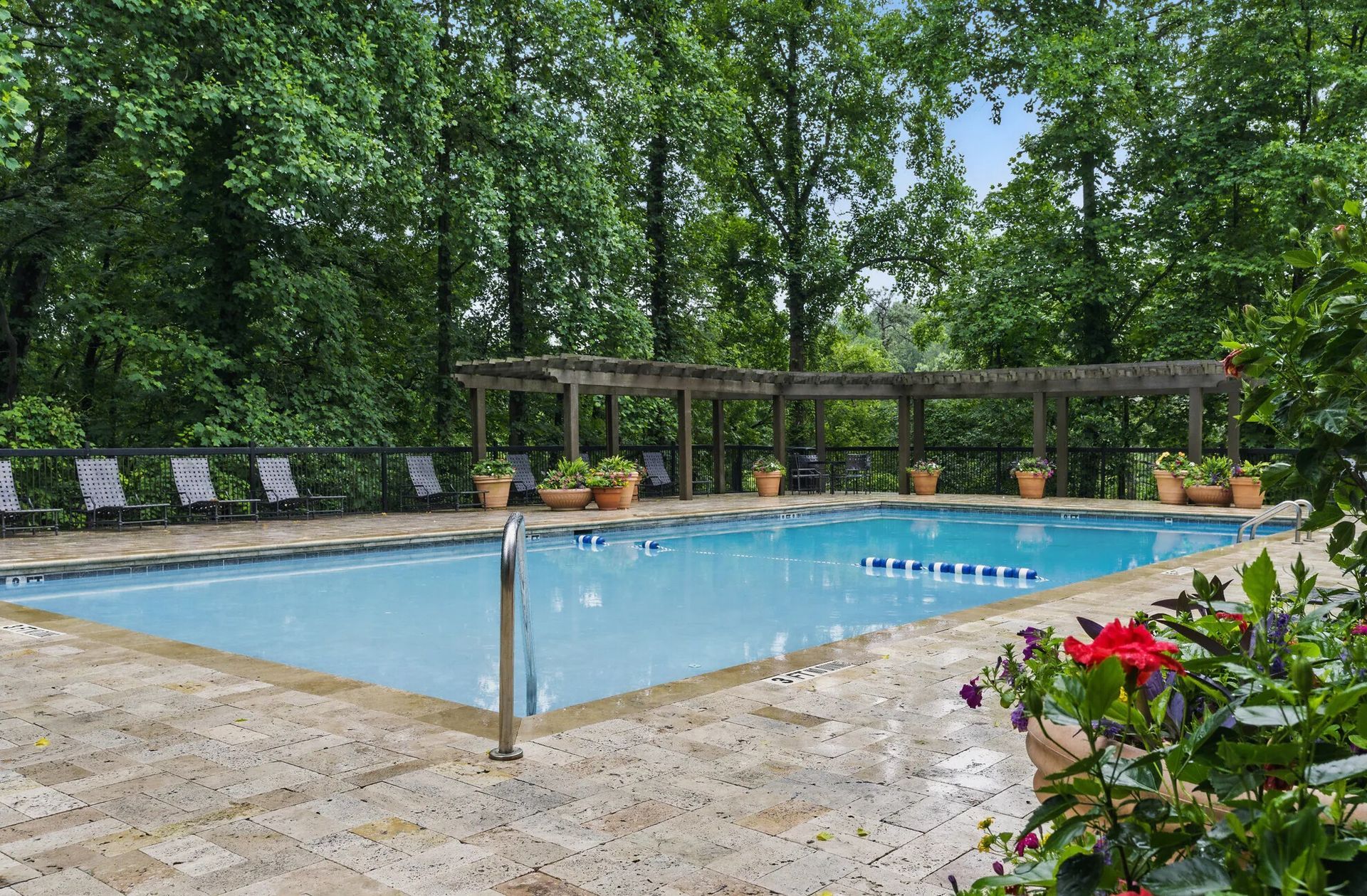 Pool with lounge chairs, surrounded by trees, with a wooden pergola overhead.