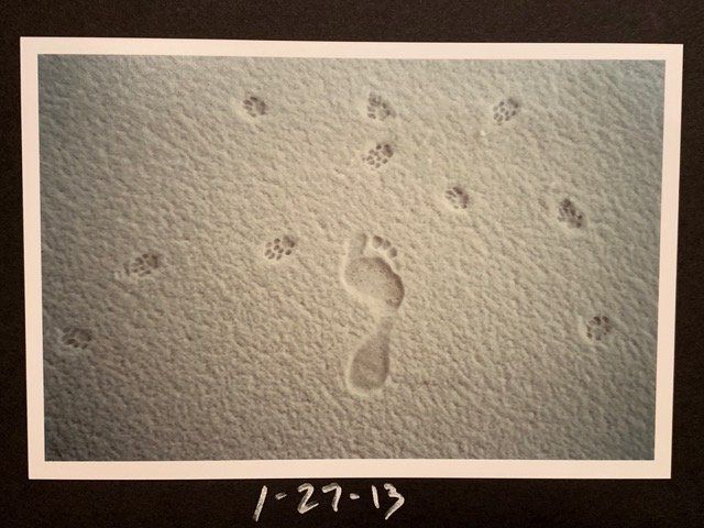 picture of the day - footprints