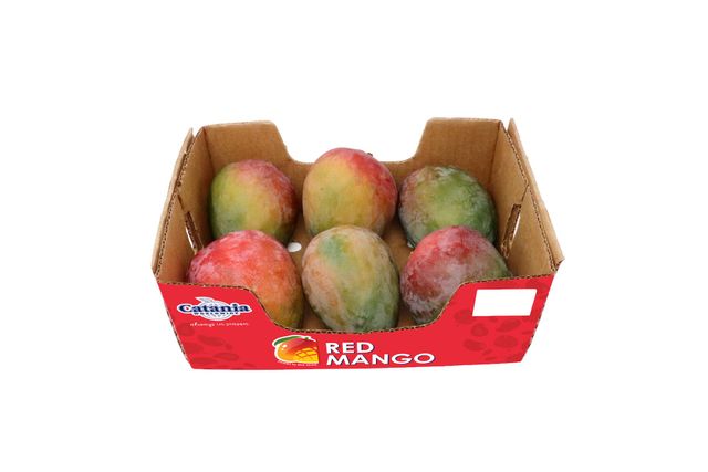 Mango catania clearance