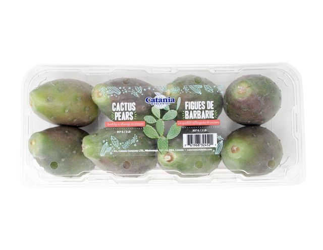 Cactus Pear