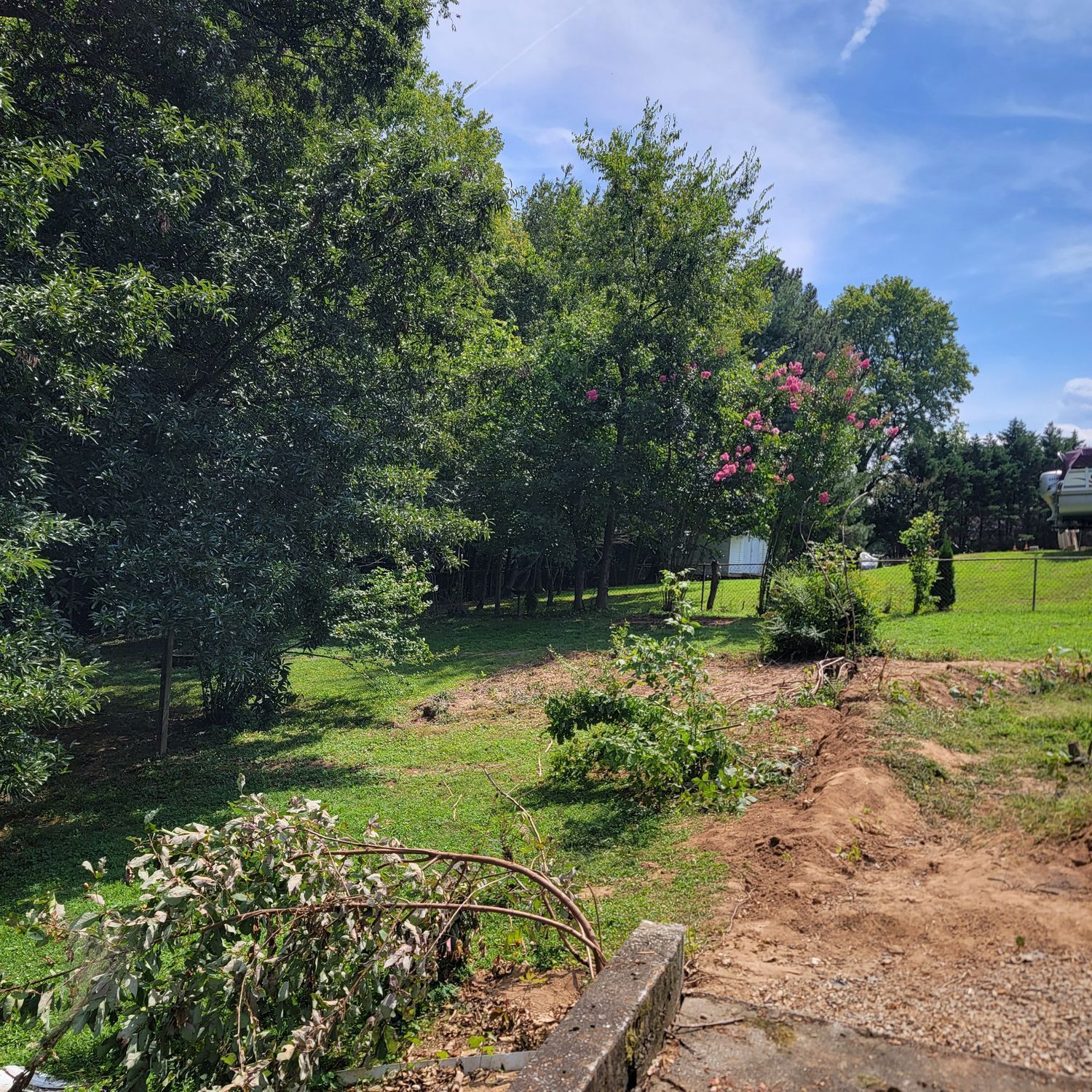 A lush green field with trees and bushes on a sunny day