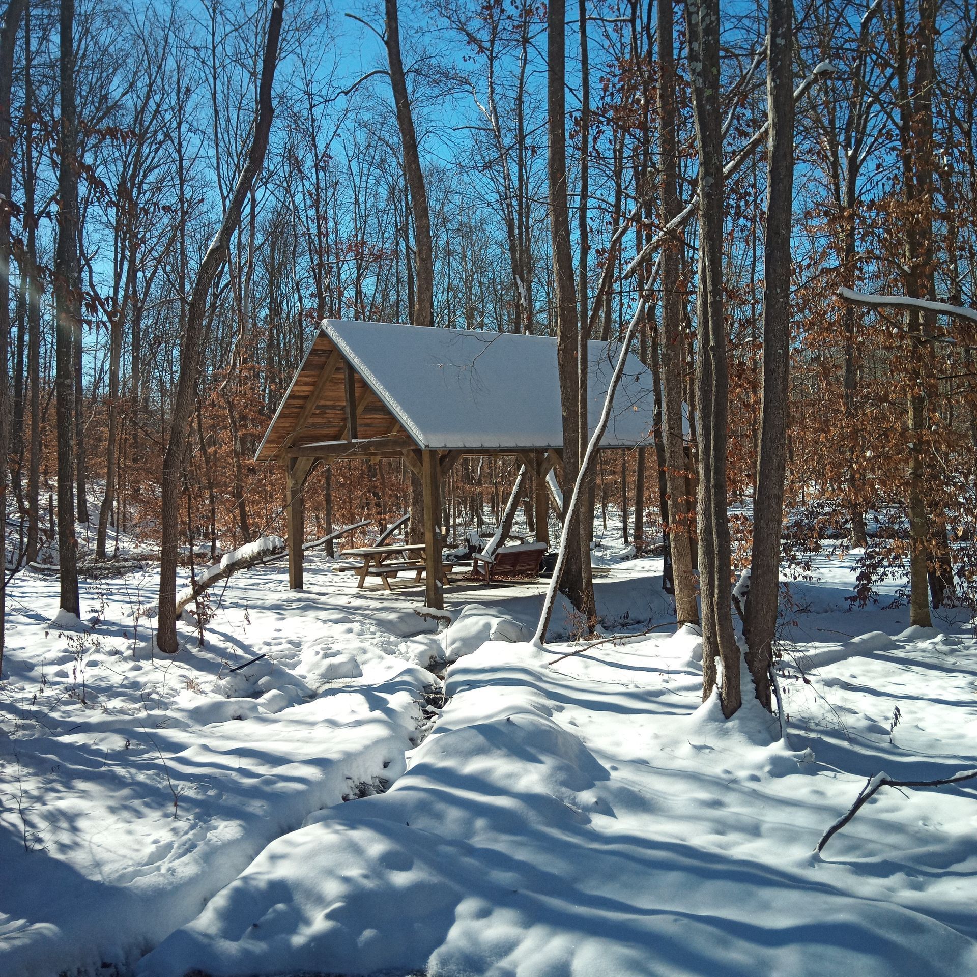 A small hut in the middle of a snowy forest