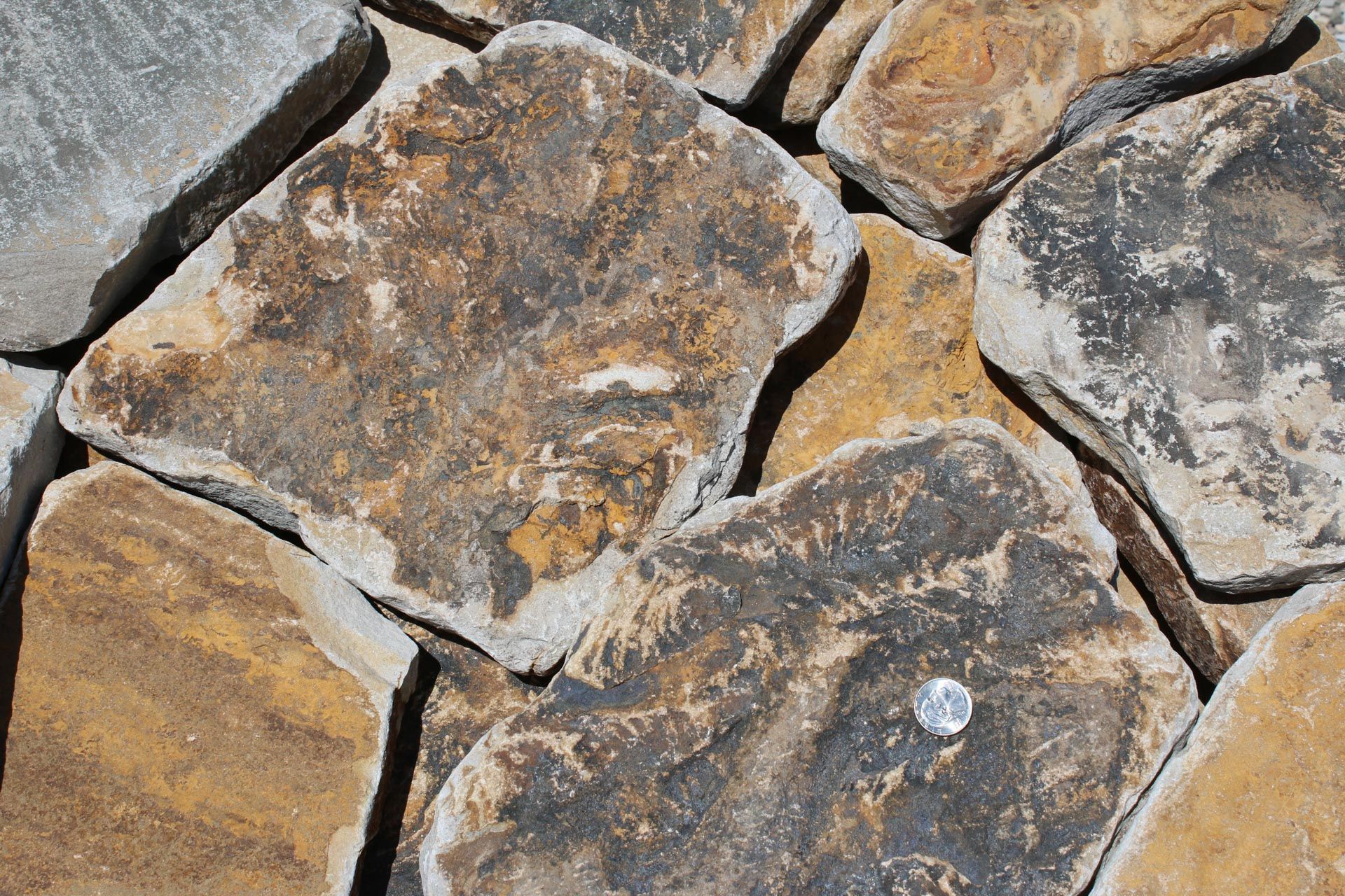 A close up of a pile of rocks with a coin in the middle.