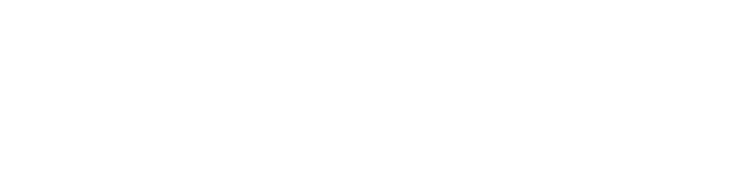 AUTO PICCARDI LOGO