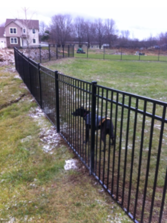 Fence Company Erie, PA