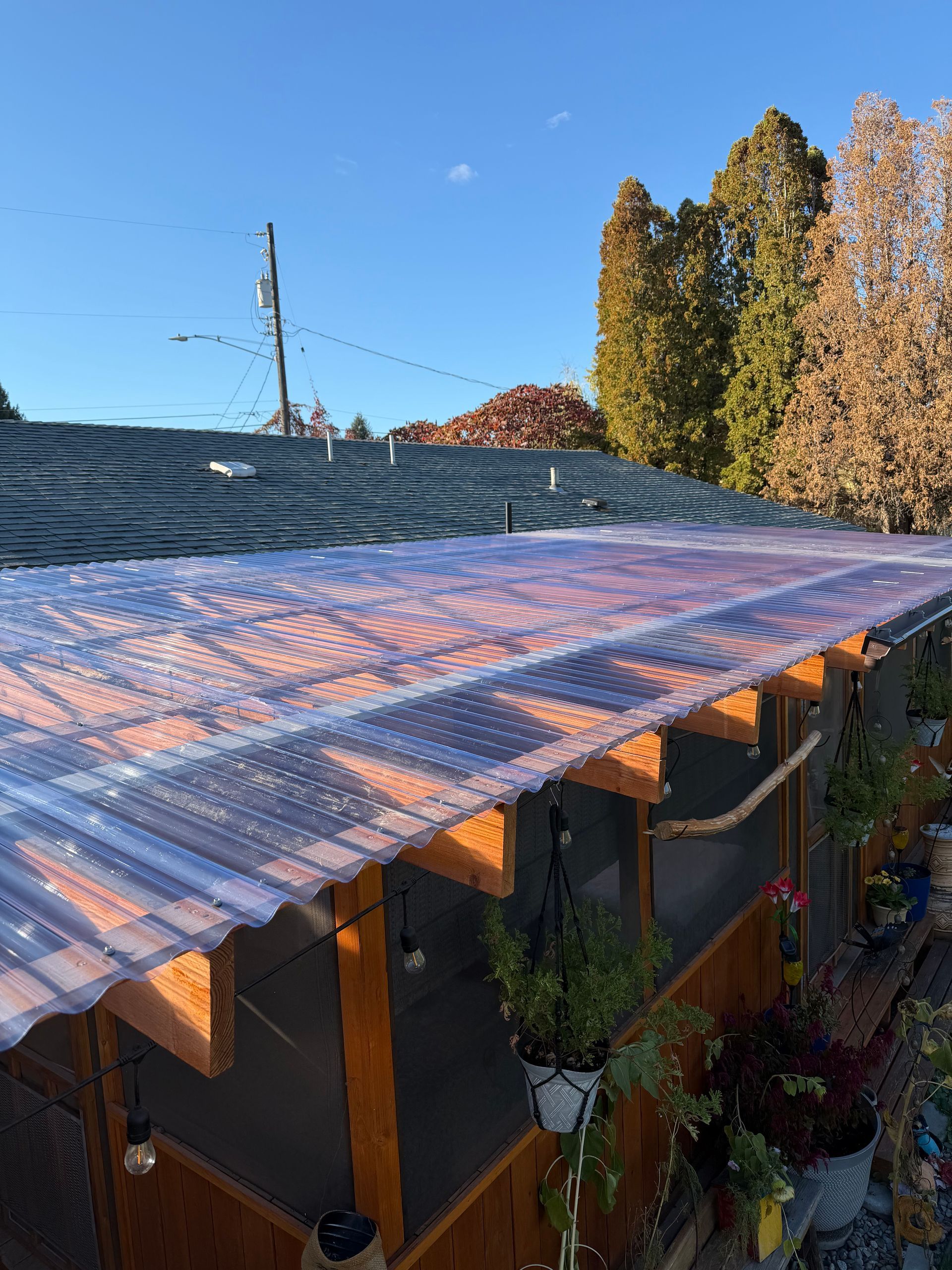 Outdoor structure with a translucent roof, covered in frost, with plants and a blue sky in the background.