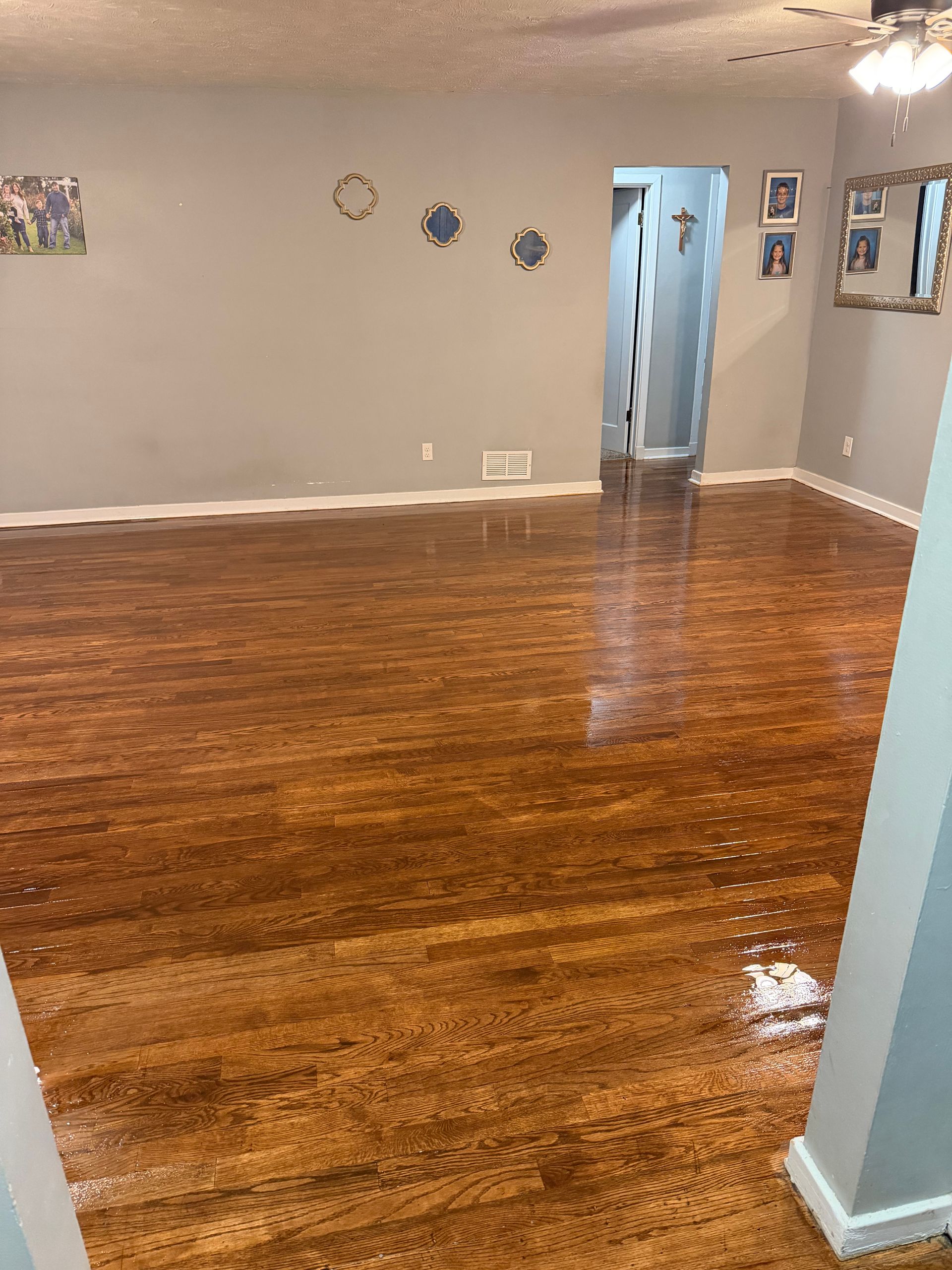 Newly refinished hardwood floor in a living room, reflecting light. Gray walls and doorway visible.