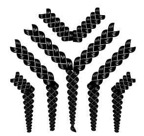 A black and white drawing of a bunch of braids on a white background