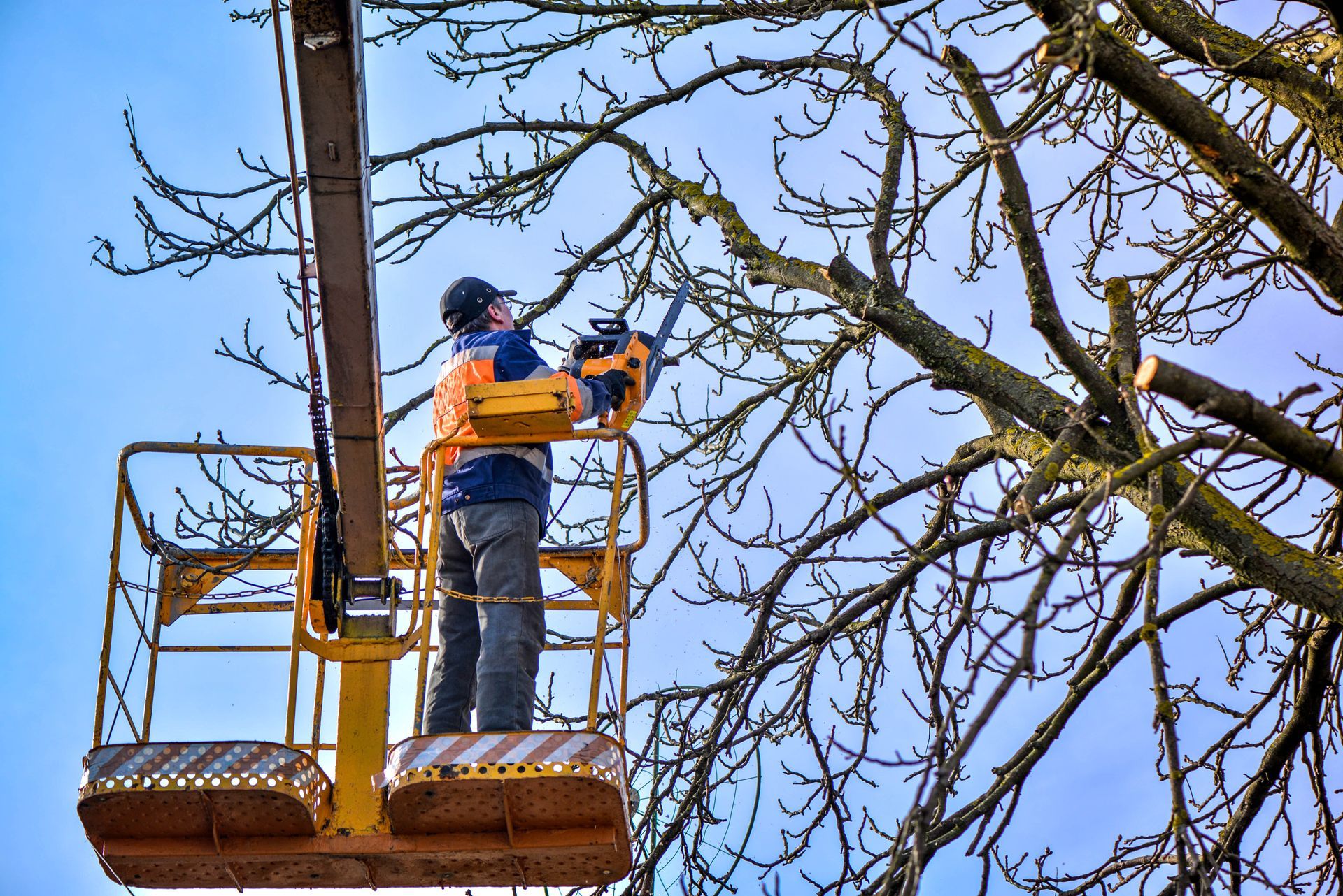 A man is cutting a tree with a chainsaw in a bucket.