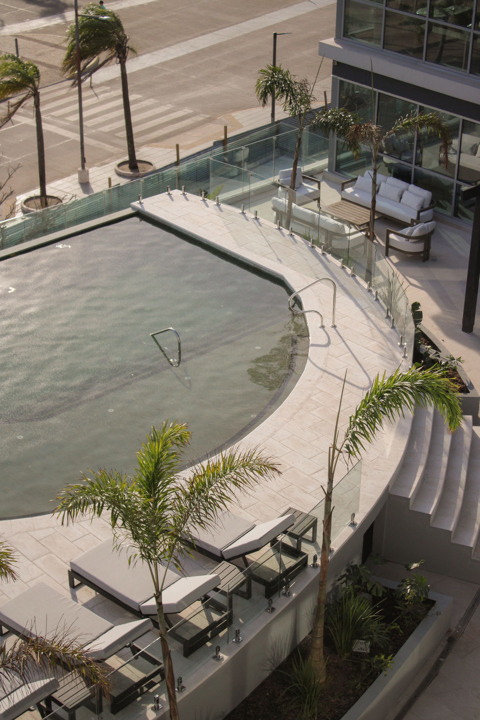 Piscina al aire libre con borde curvo, camastros blancos, palmeras y barandilla de cristal.