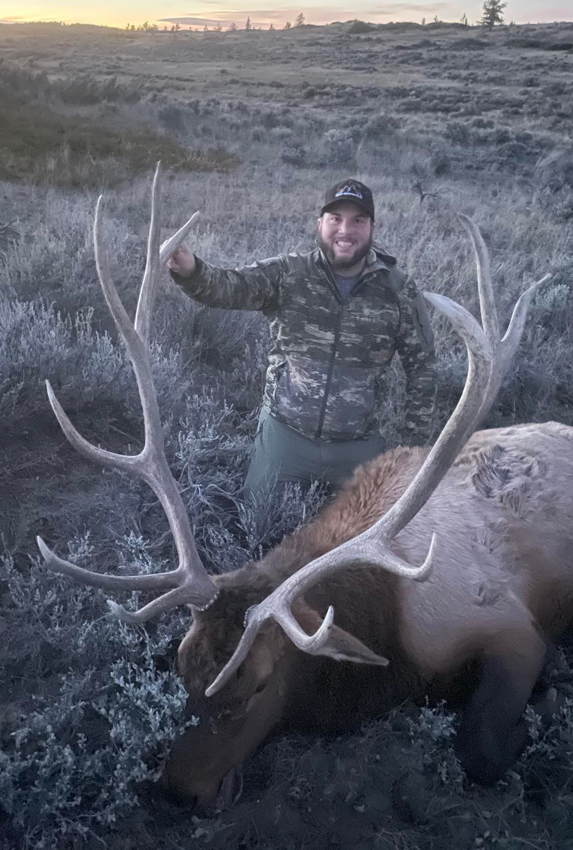 A man is kneeling next to a large elk in a field.