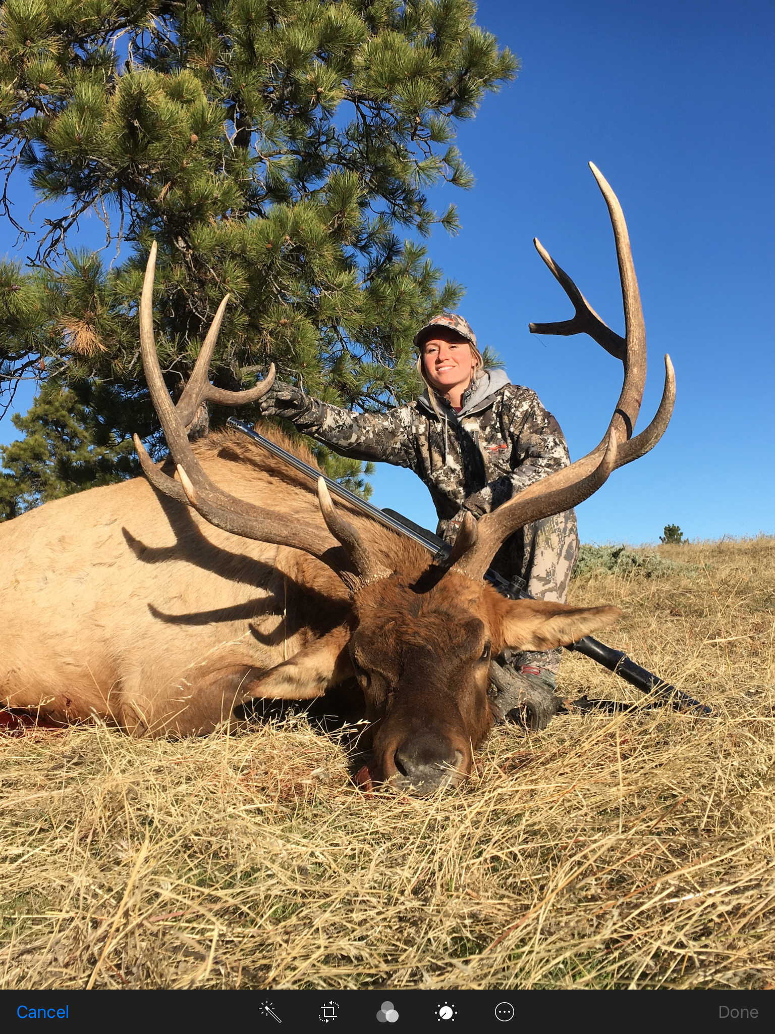 Man posing with deer in a forest
