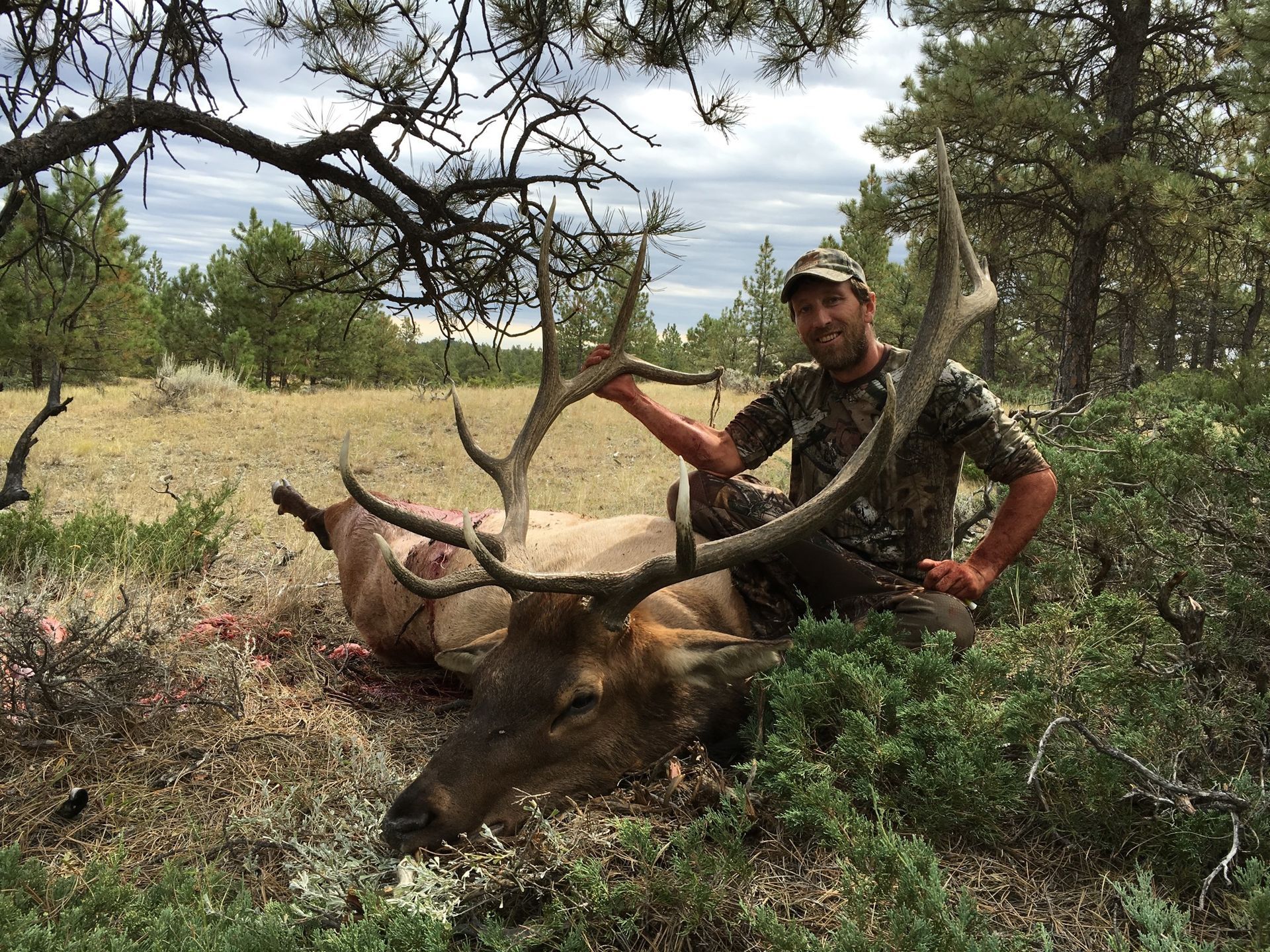 Man posing with deer in a forest