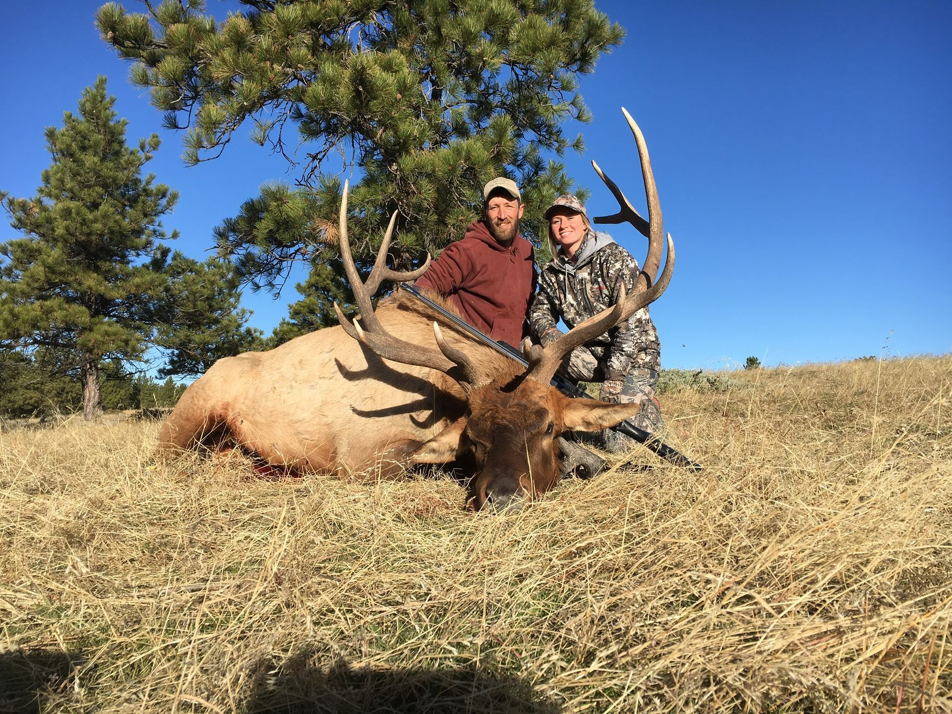 Man posing with deer in a forest
