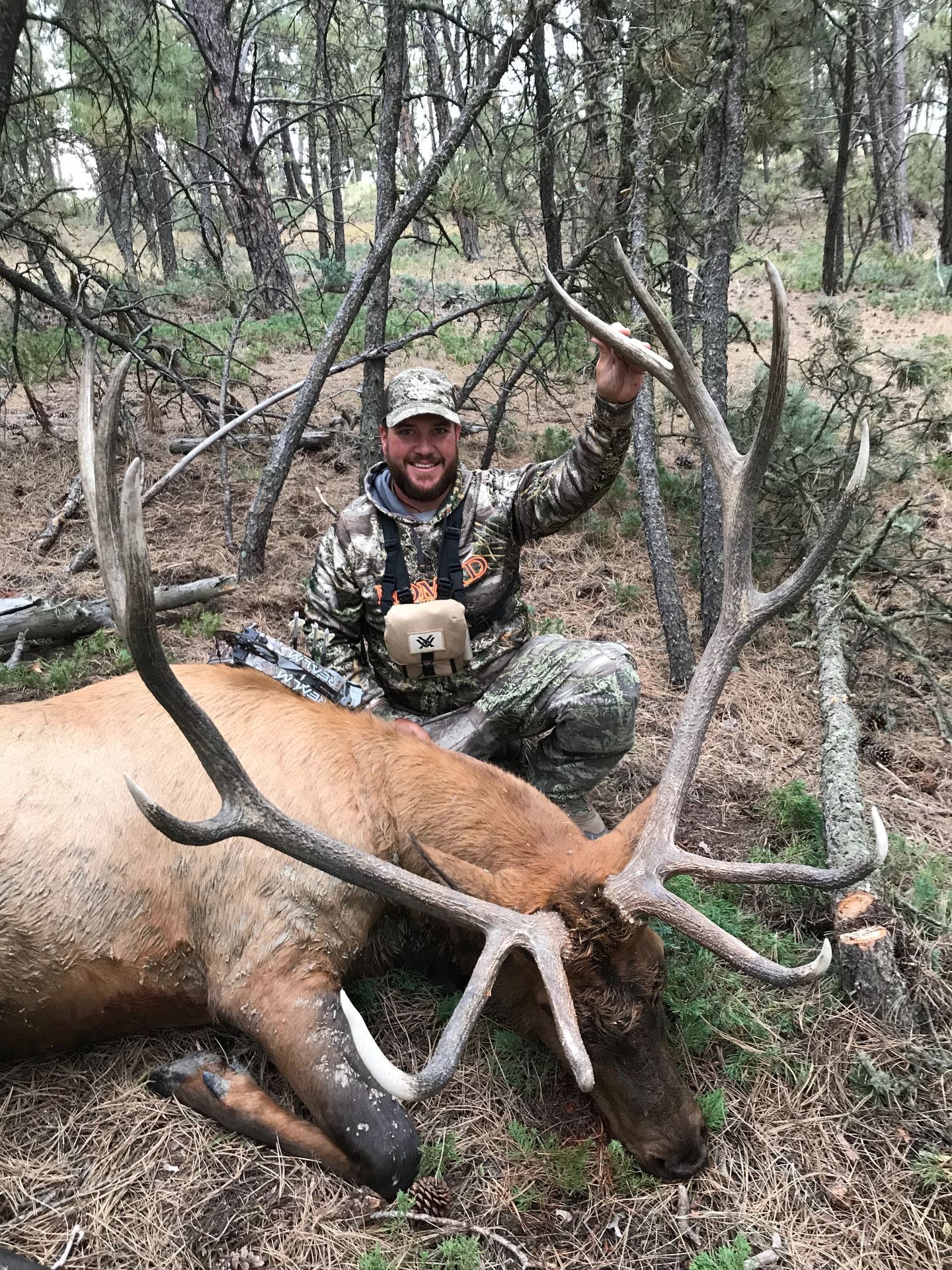 Man posing with deer in a forest