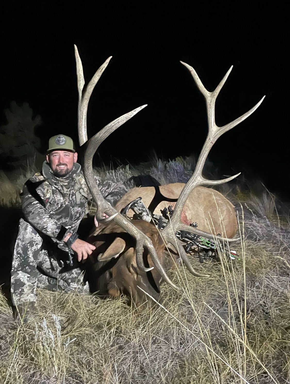 A man is standing next to a large elk in a field at night.
