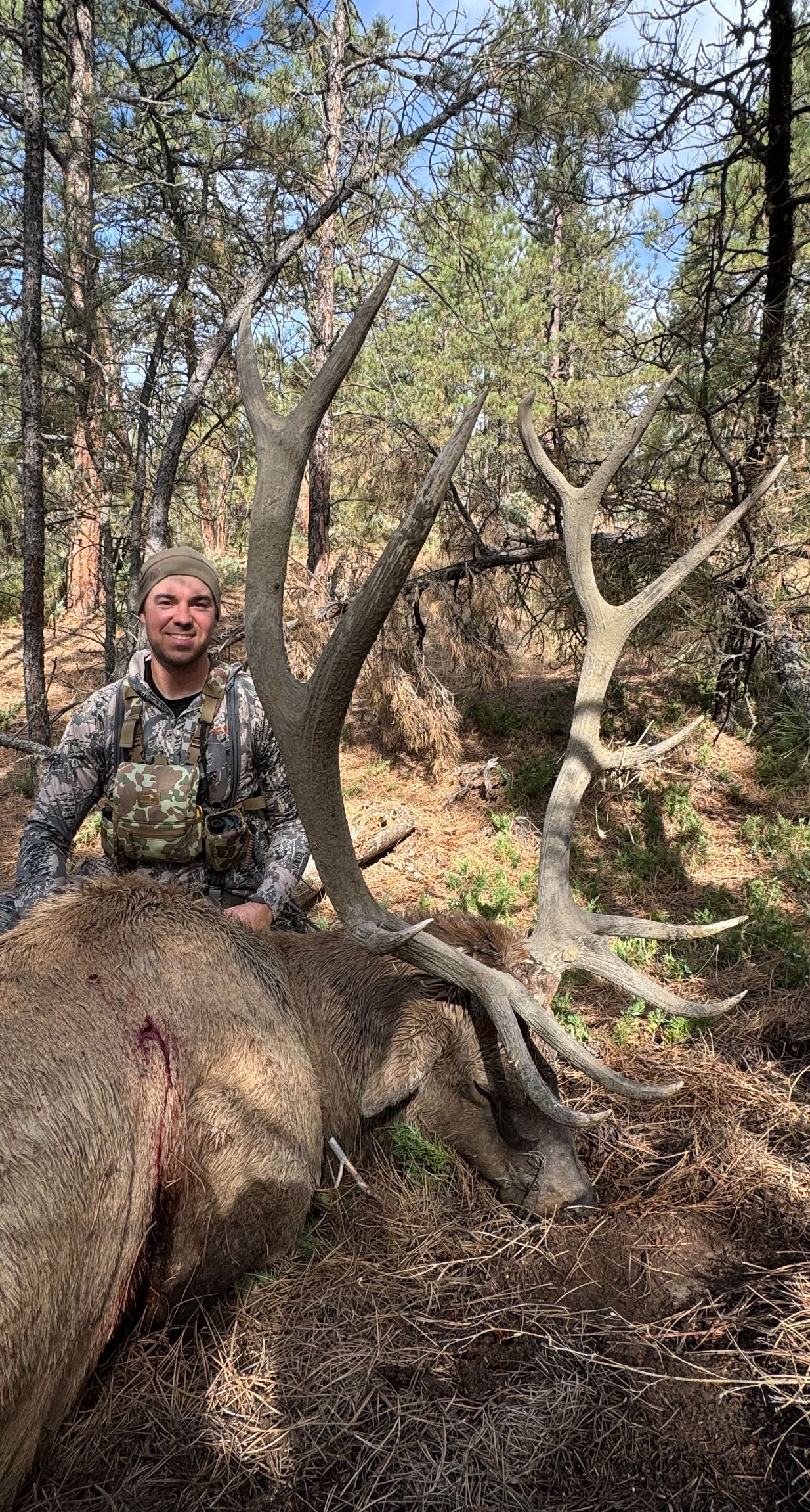 A man is standing next to a large deer in the woods.