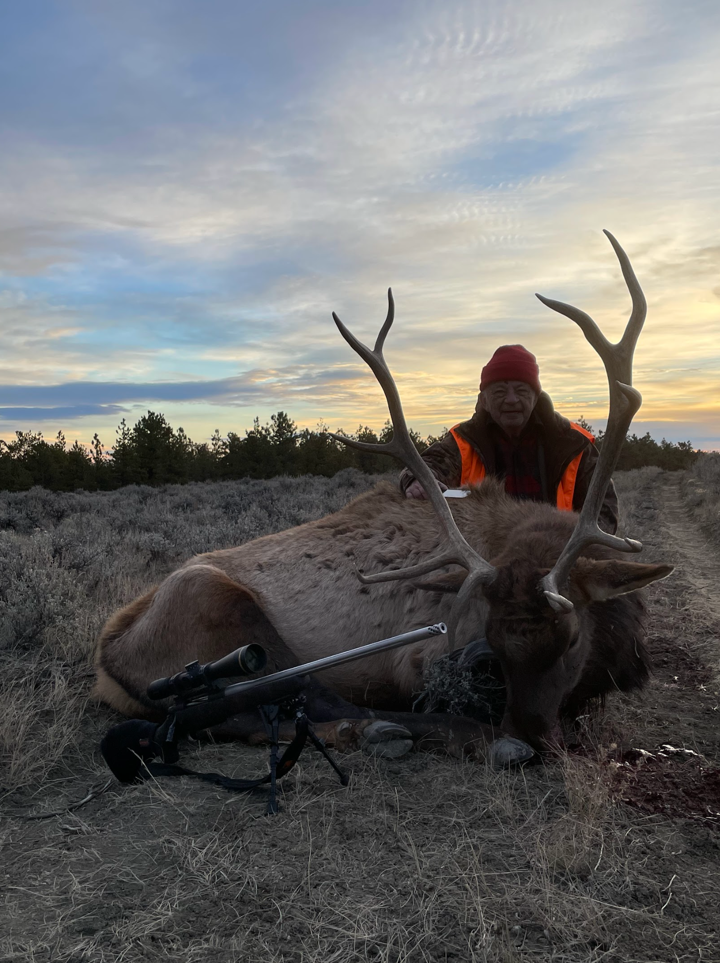 Man posing with deer in a forest