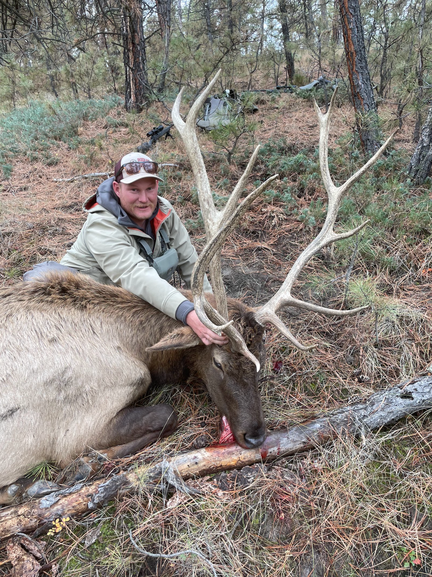 Man posing with deer in a forest