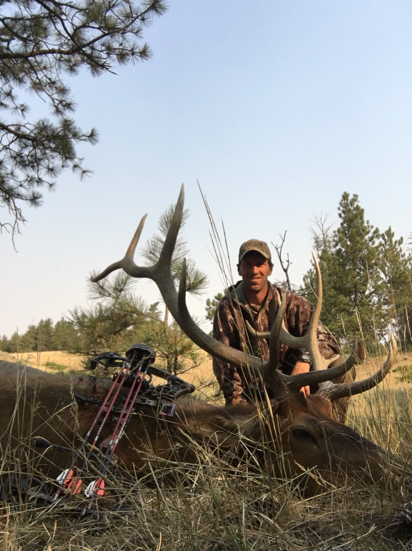 Man posing with deer in a forest
