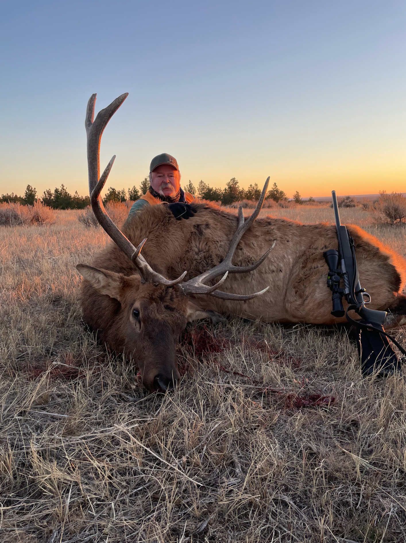 Man posing with deer in a forest