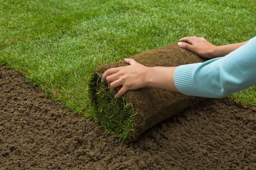 creacion de jardines