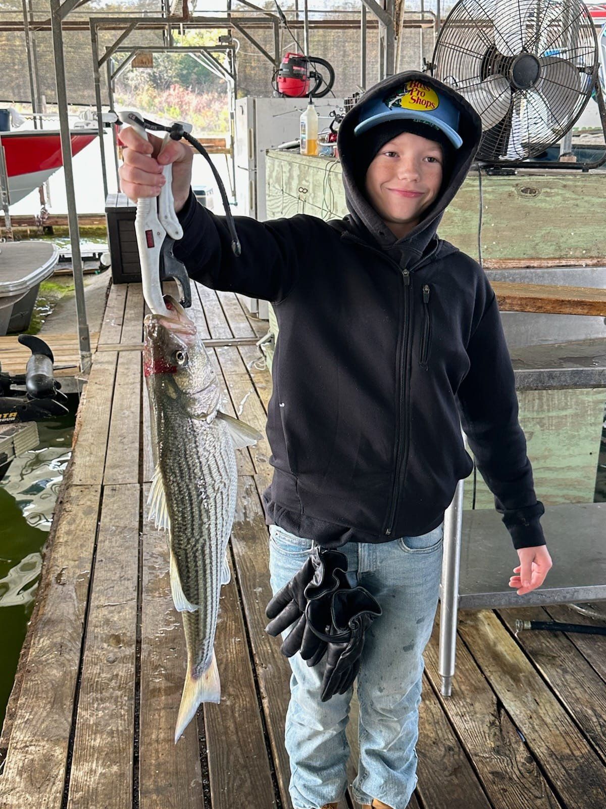 A person wearing a hoodie and hat holds a large striped bass while standing on a wooden dock at a marina.