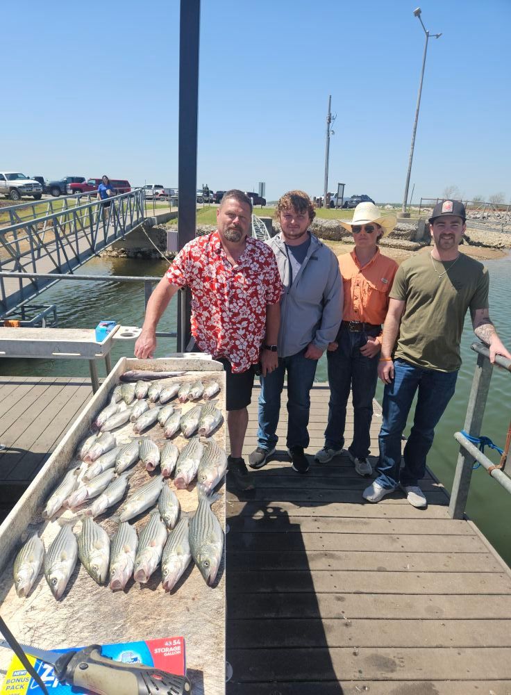 Four people stand on a dock next to a table displaying a large catch of fish on a sunny day.