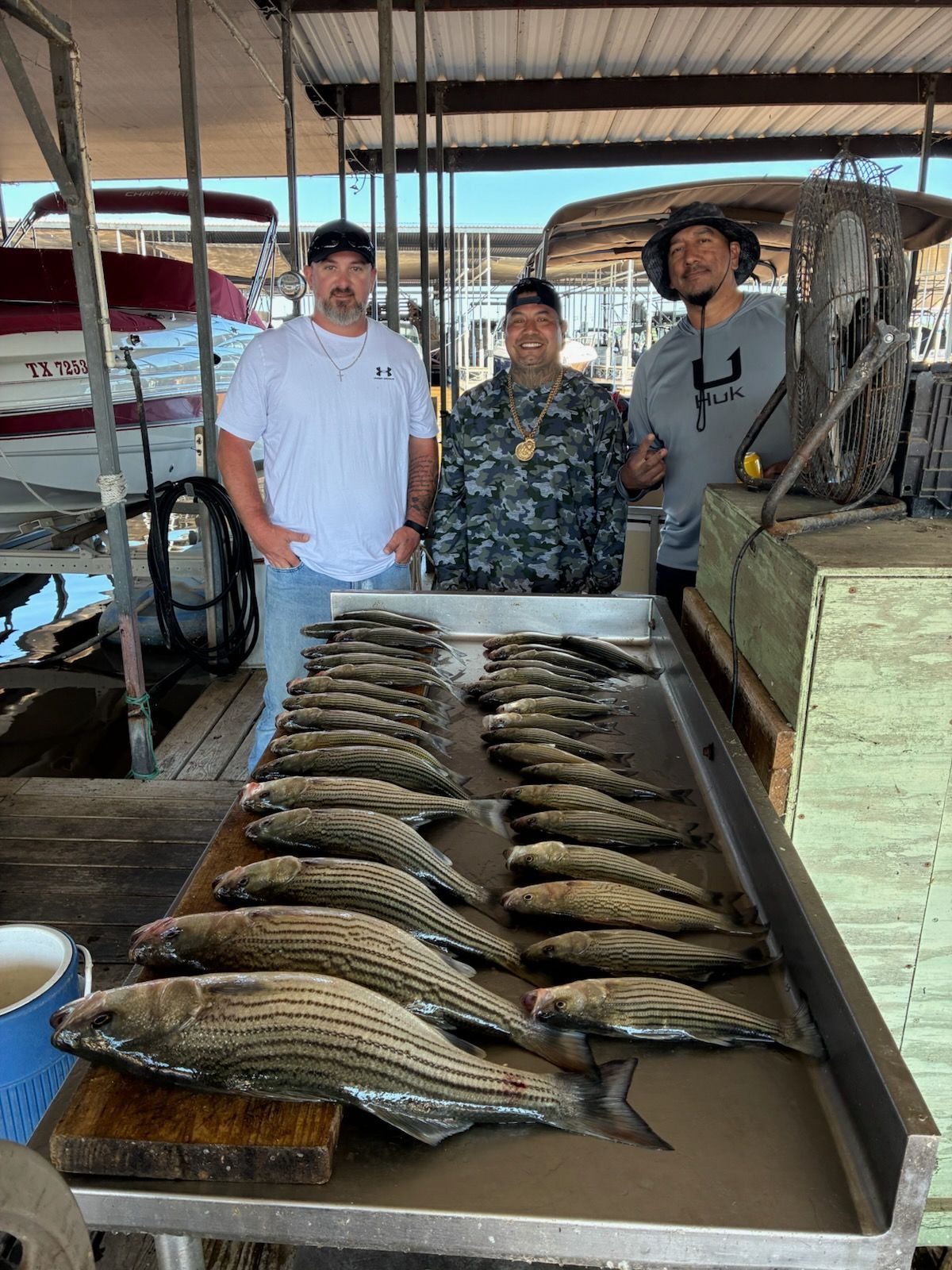 Three people stand behind a table covered in a large catch of striped bass at a boat dock.