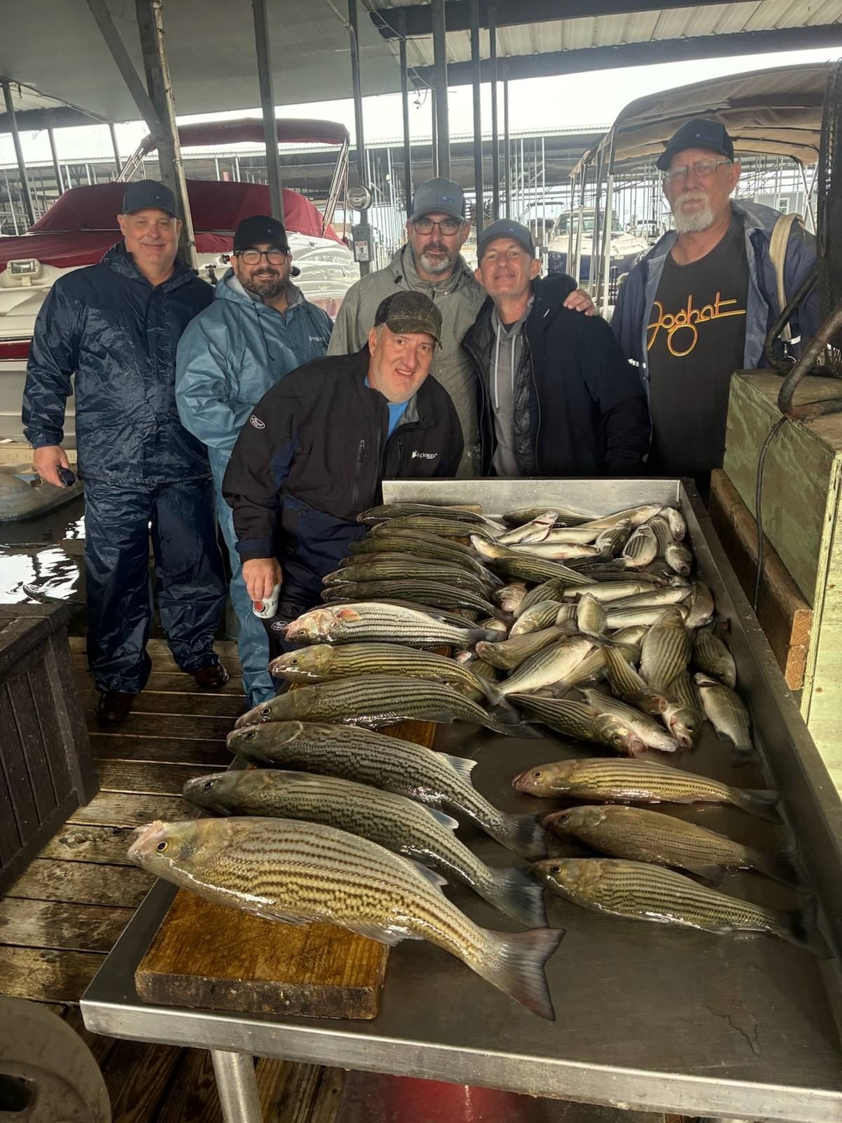 Six people stand behind a table filled with various freshly caught fish at a marina.