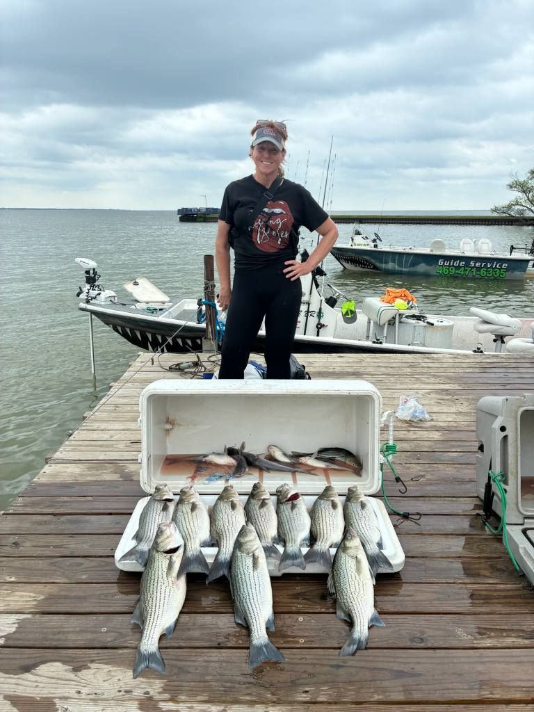 An aerial view of a large wave in the ocean.