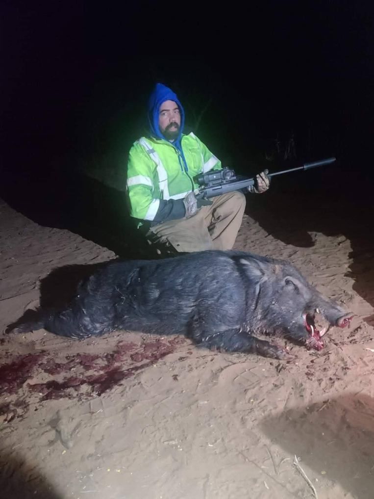A person in a neon yellow jacket and blue hoodie poses with a large wild hog at night, holding a rifle with a scope.