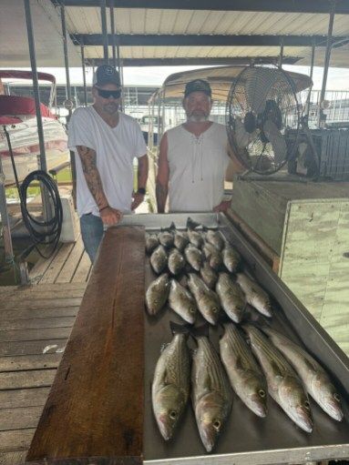 Two people stand behind a metal cleaning table topped with many fresh fish on a wooden dock with boats in the background.