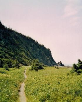 Un chemin traversant un champ herbeux avec une montagne en arrière-plan.