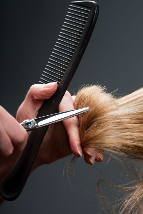 Specialist Sharpening a Scissors — Mobile Scissor Sharpening in Sunshine Coast, QLD