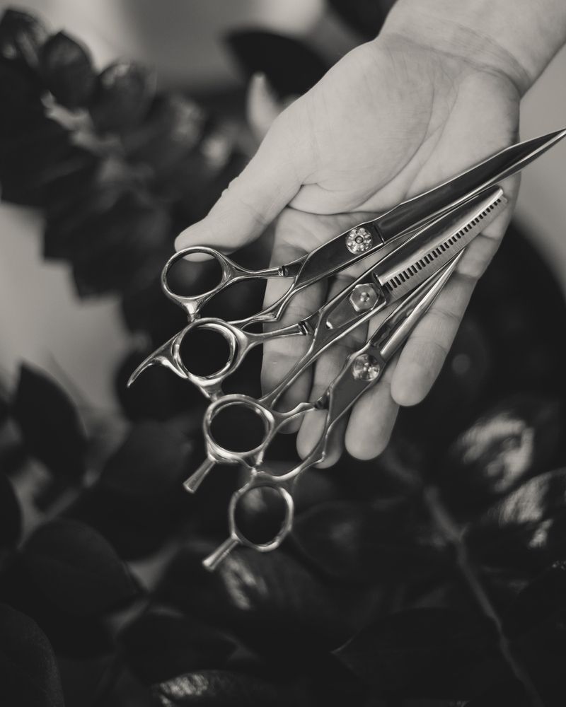 Hand Holding Hairdressing Scissors — Mobile Scissor Sharpening in Gympie, QLD