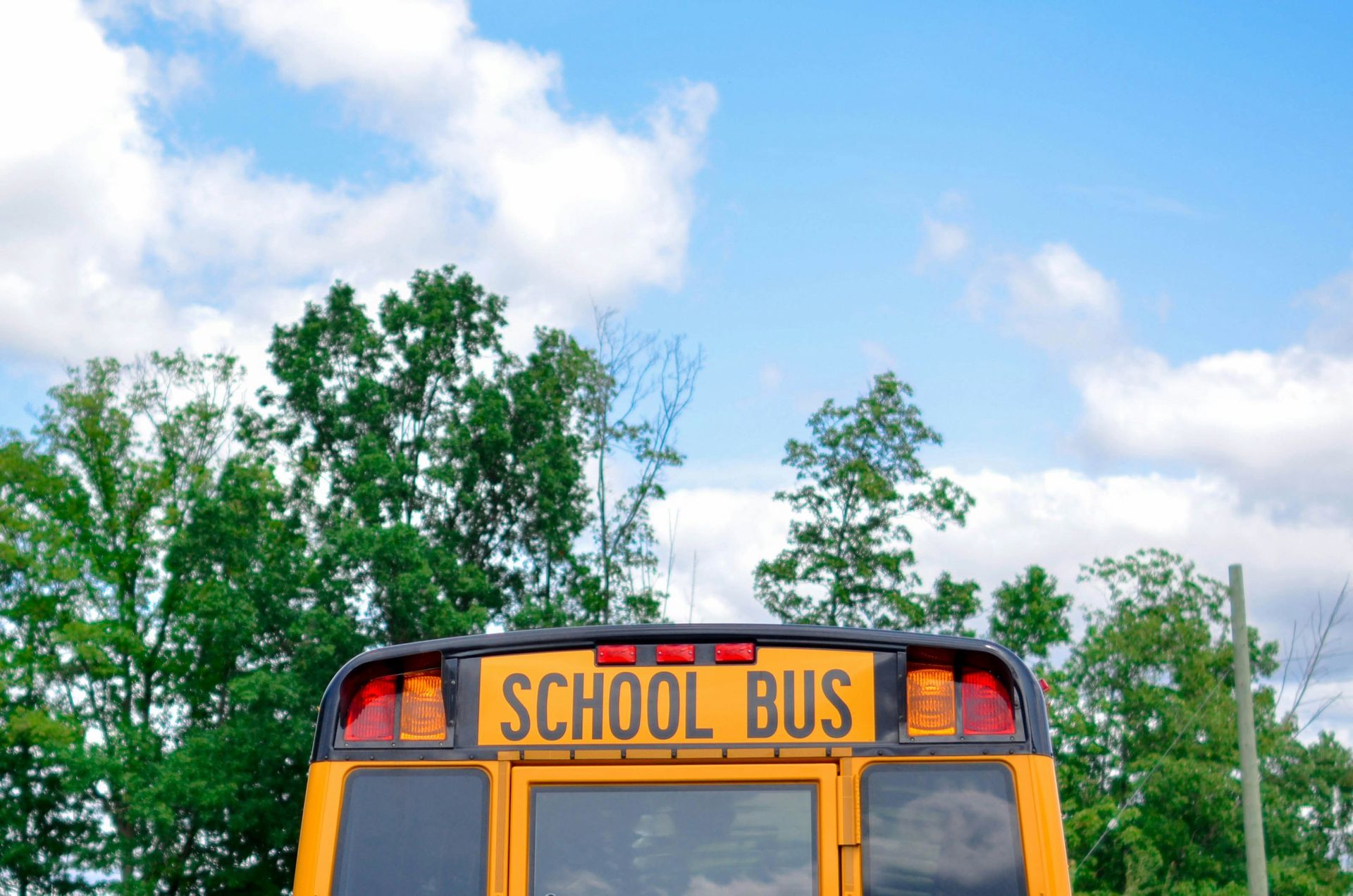 The back of a yellow school bus with trees in the background.