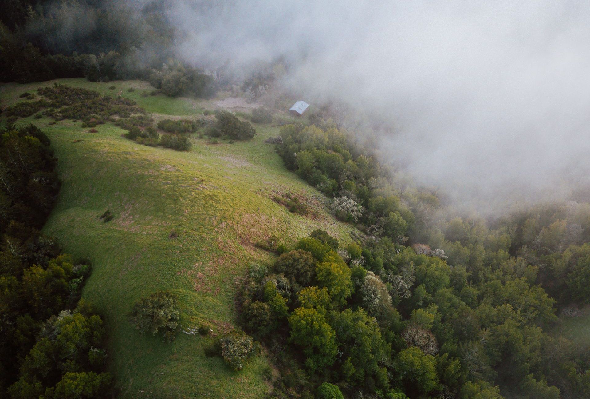 image of mist and cloud over green treed hills