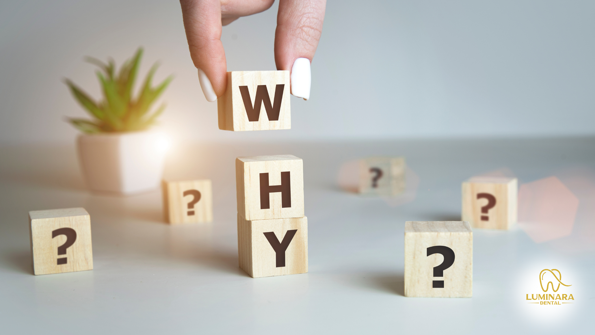 A person is holding a wooden block with the word why written on it.