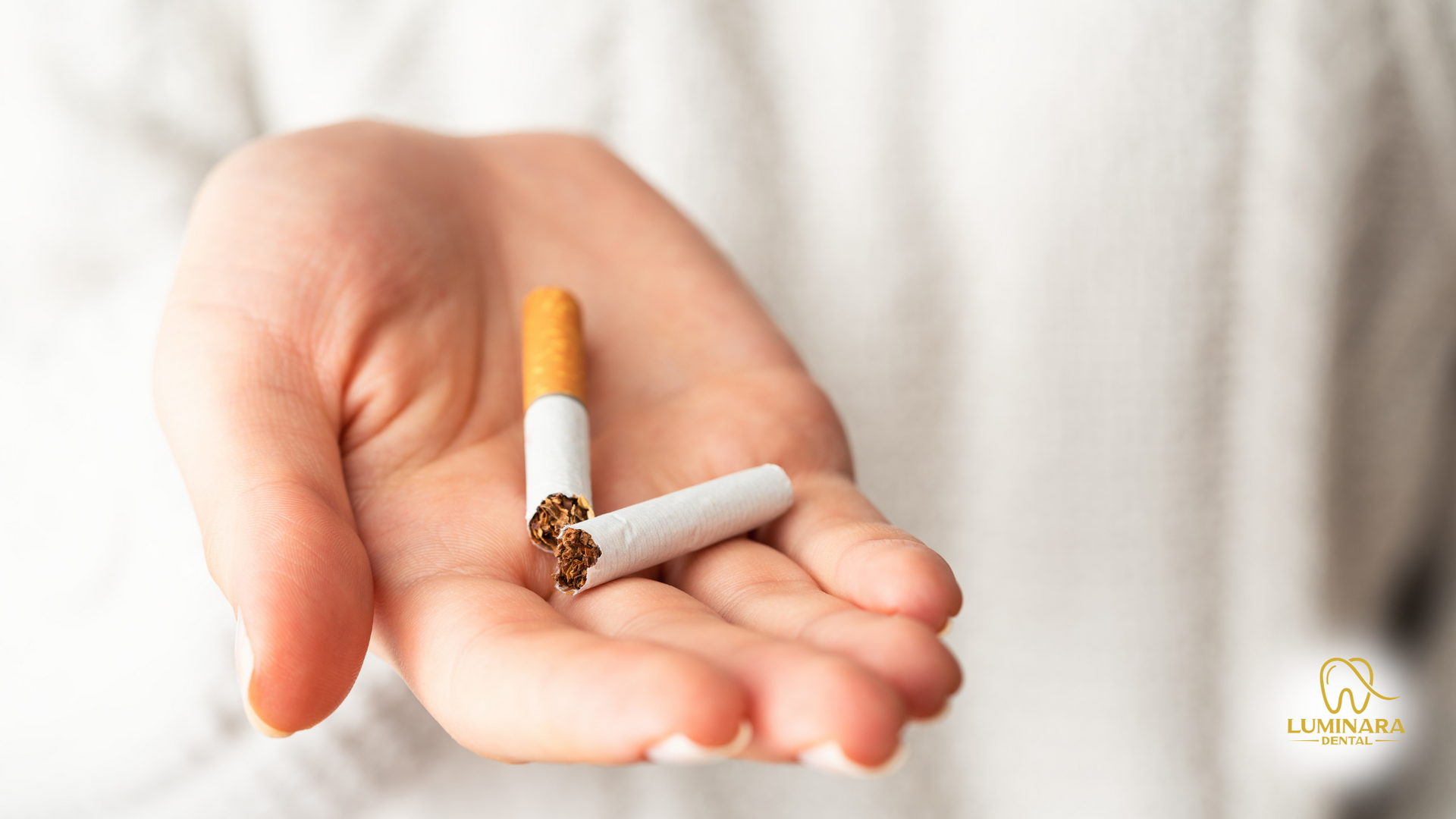 A person is holding two broken cigarettes in their hand.