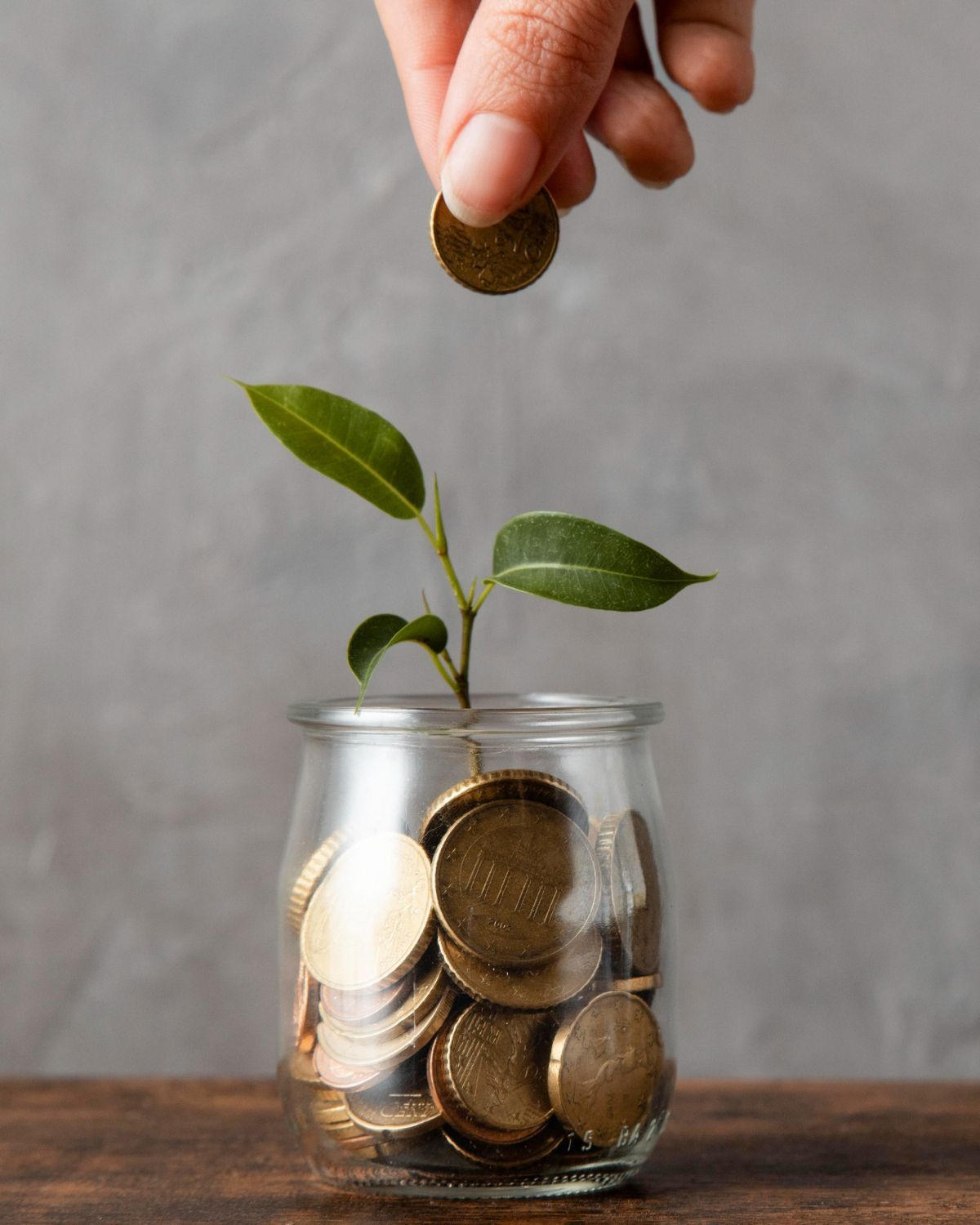 A person is putting a coin into a glass jar with a plant growing out of it.
