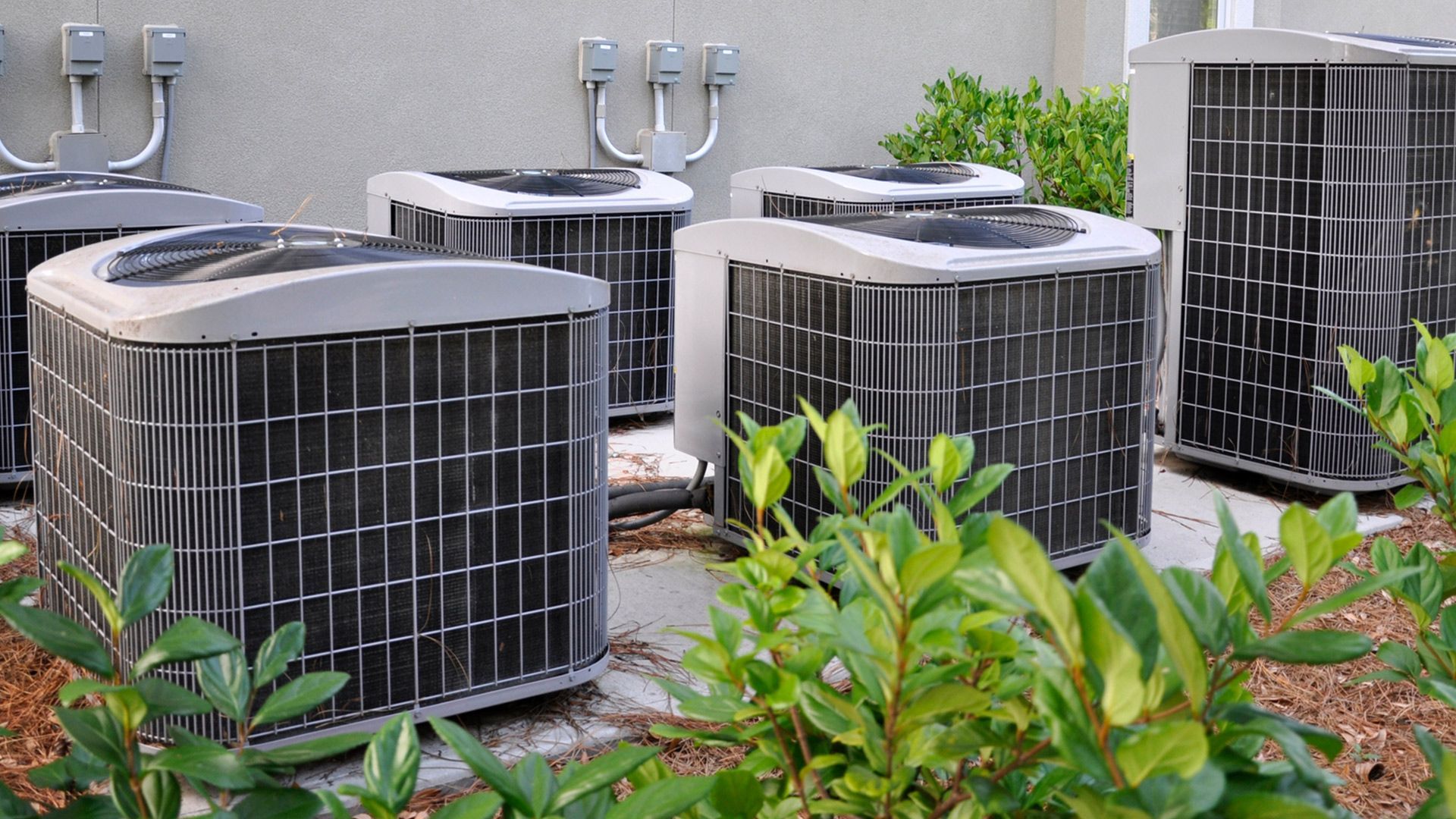 A room with a boiler and a water heater in it.