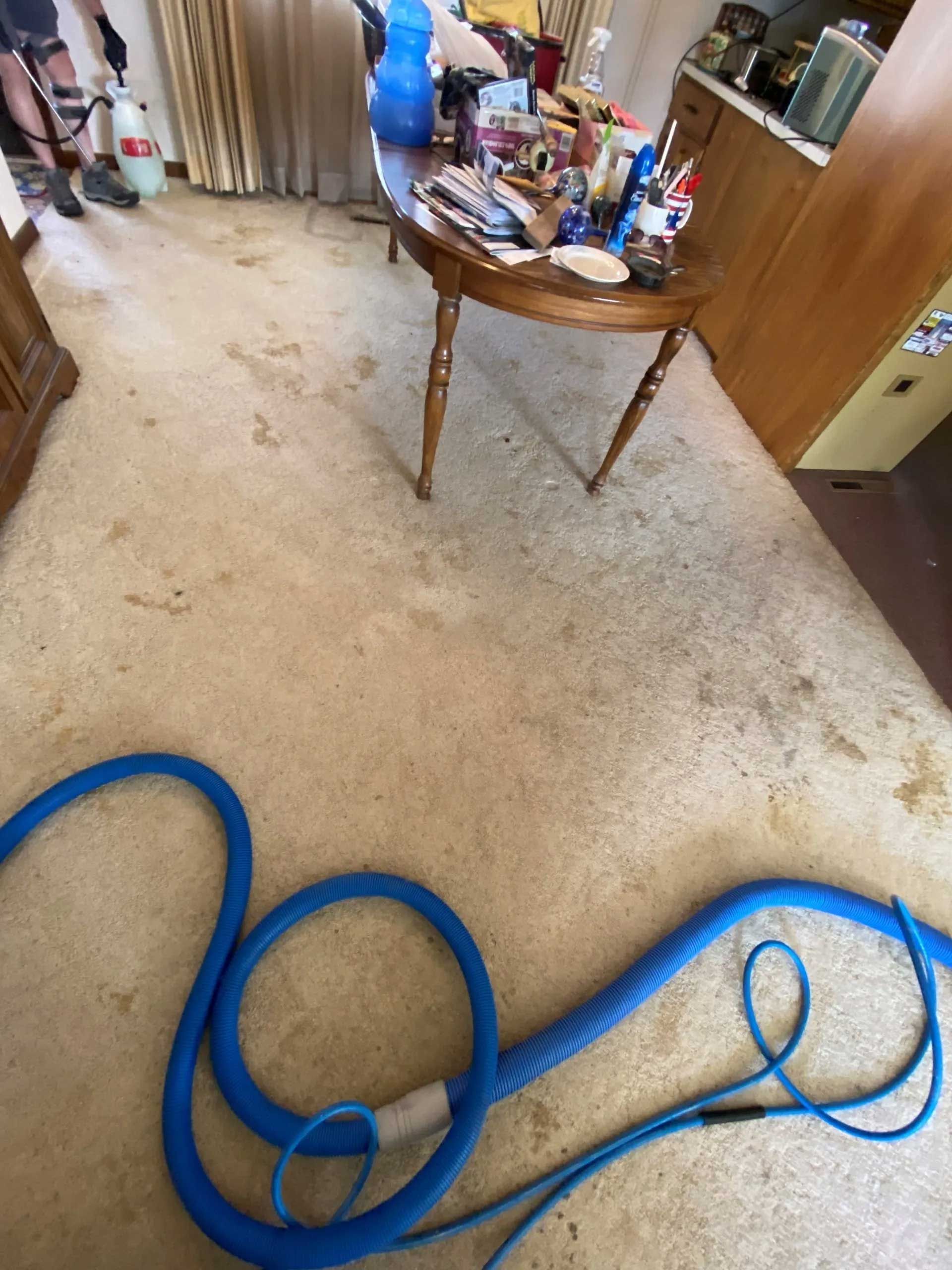 Home Carpet Cleaning Services Kearney, NE