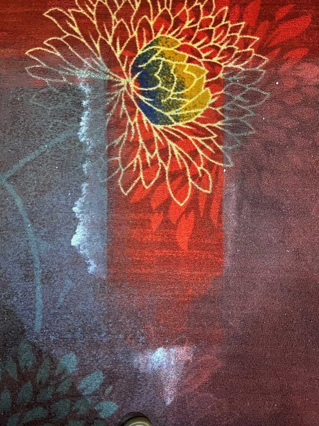 Home Carpet Cleaning Services Kearney, NE