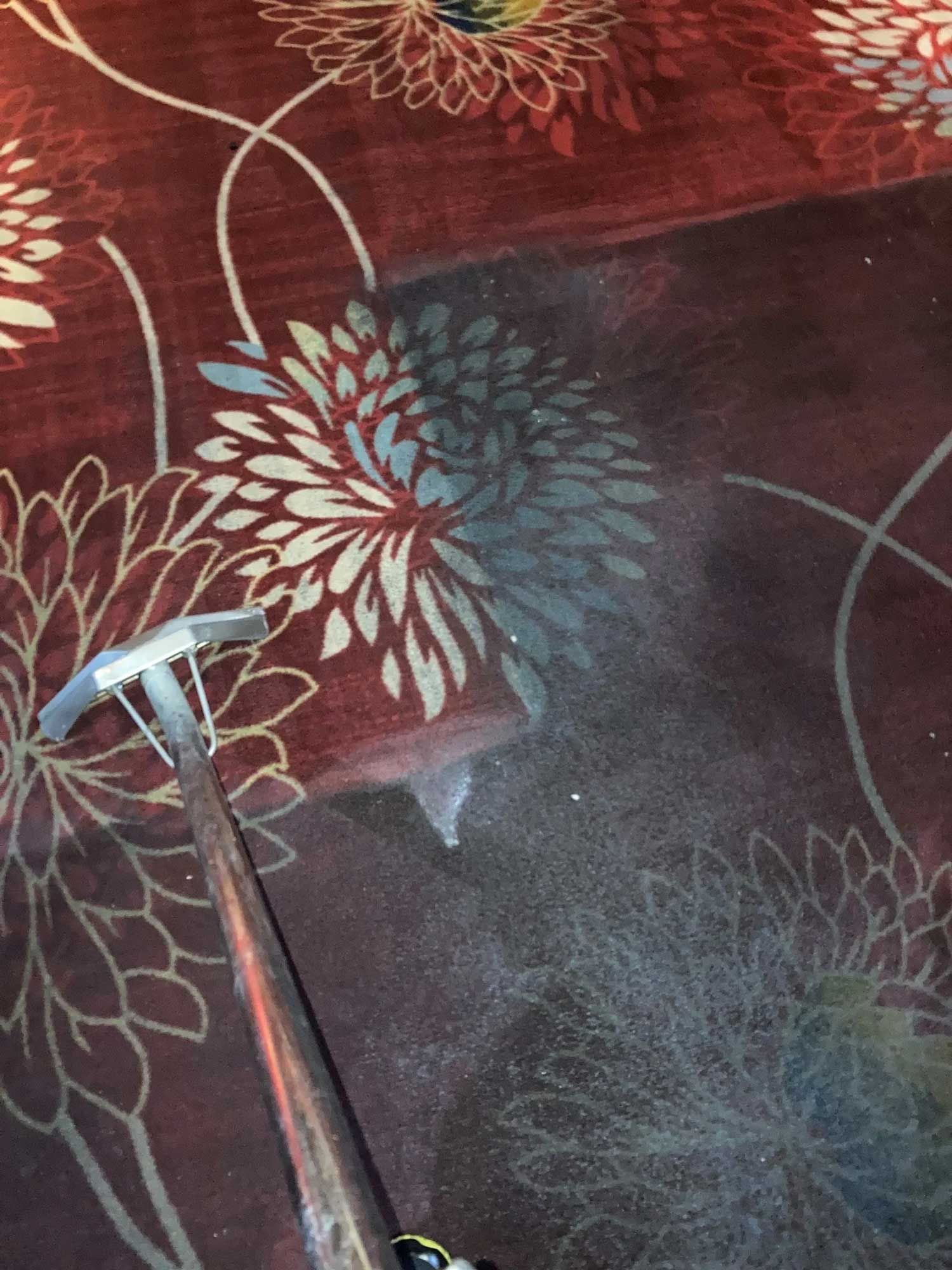 Residential Carpet Cleaning — Kearney, NE — Crystal Clean Carpet